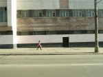 Самые безопасные в России дороги в Удмуртии и Оренбургской области
